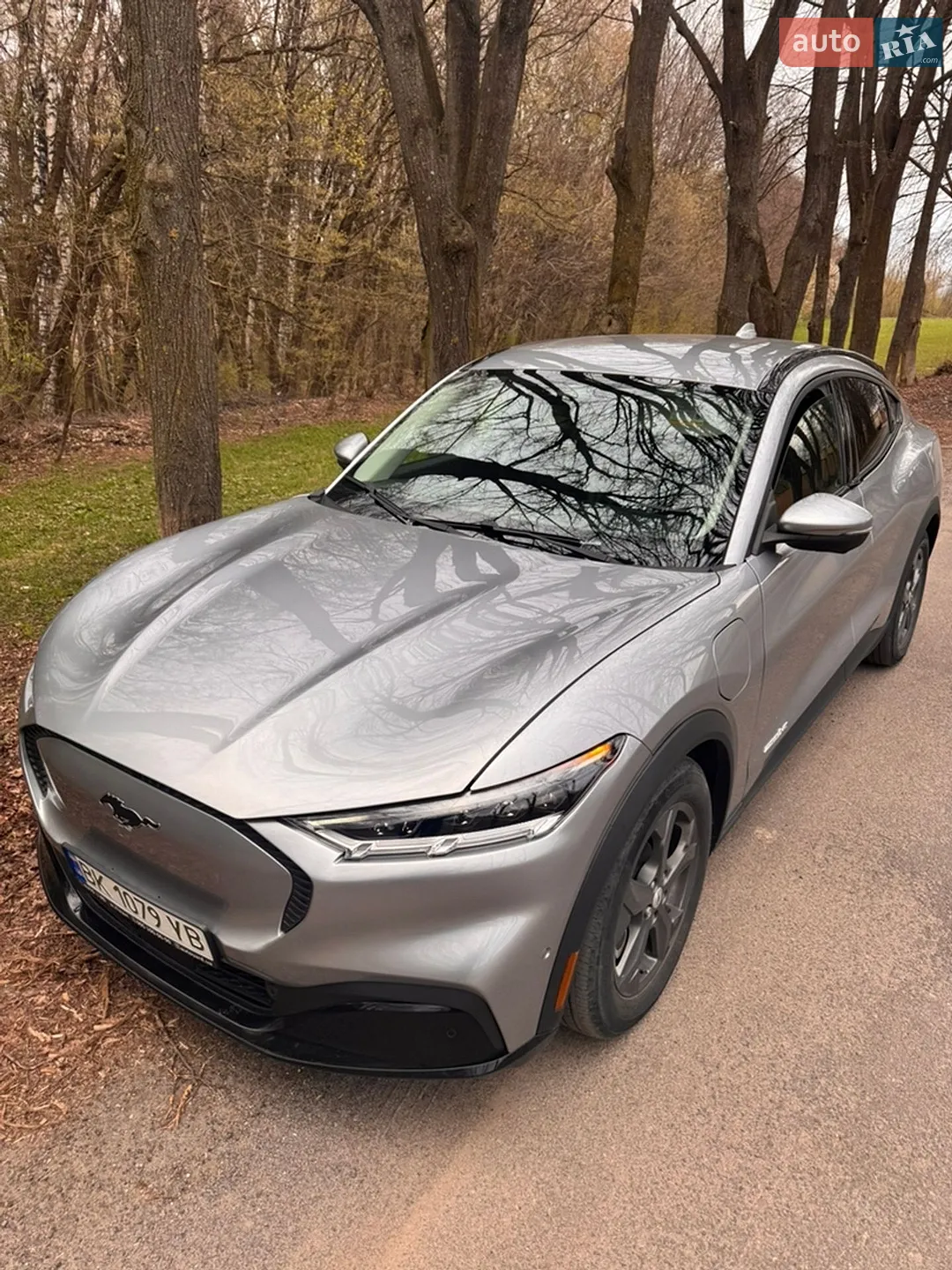 2021 Ford Mustang Mach-E - мініатюра 18