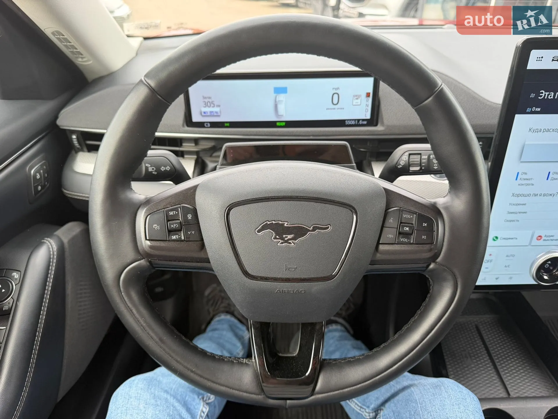 2021 Ford Mustang Mach-E - мініатюра 20