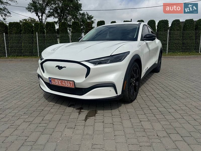 2024 Ford Mustang-Mach-E, VIN 3FMTK1SU5RMA35779:plate — zdjęcie 1 (autoria)