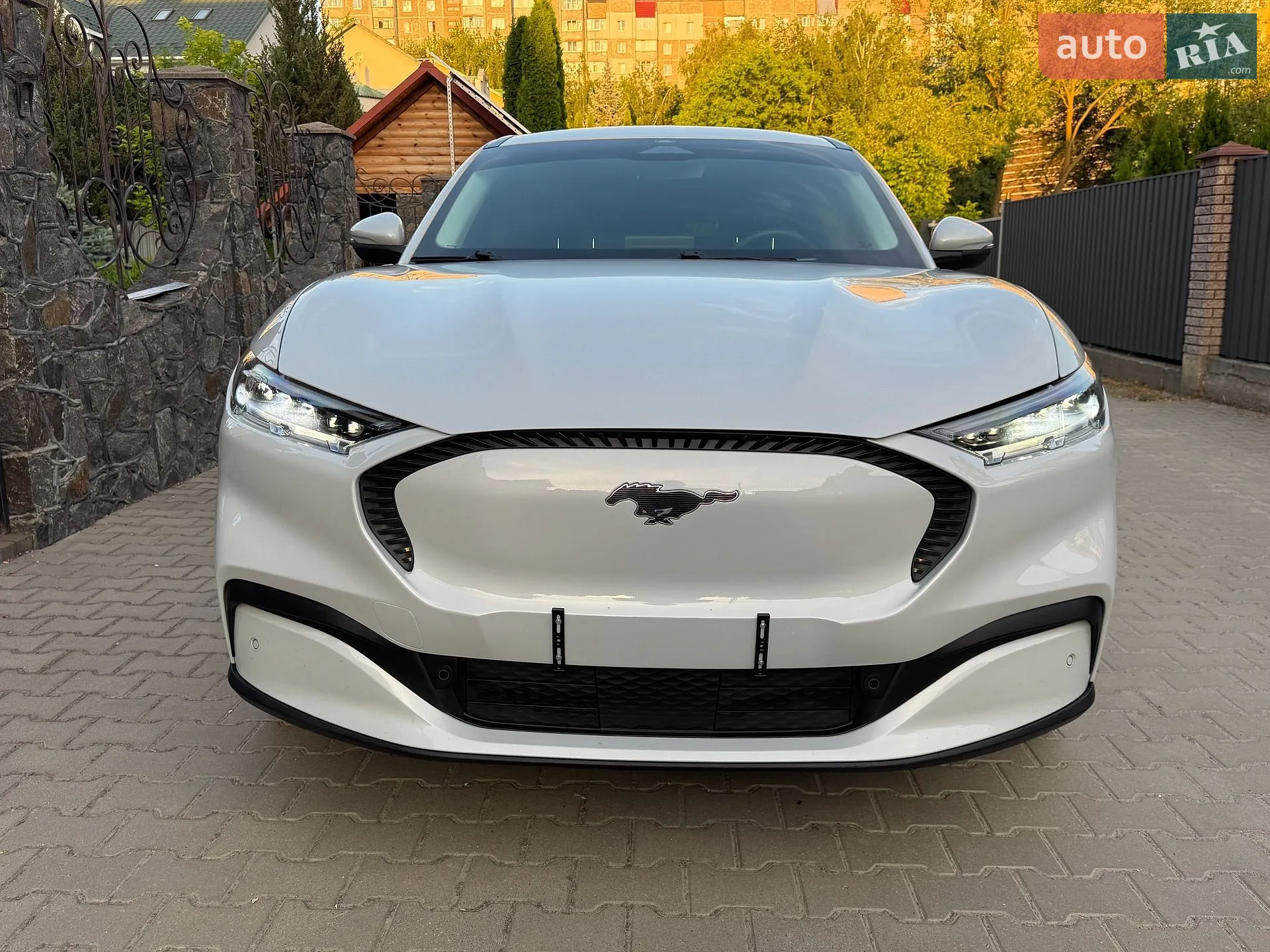 2021 Ford Mustang Mach-E - мініатюра 2