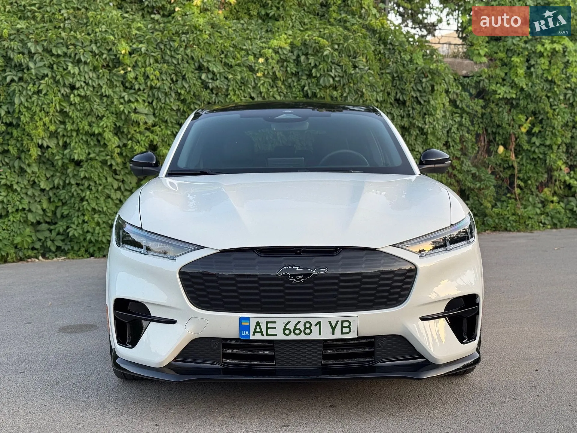 2023 Ford Mustang Mach-E - мініатюра 8