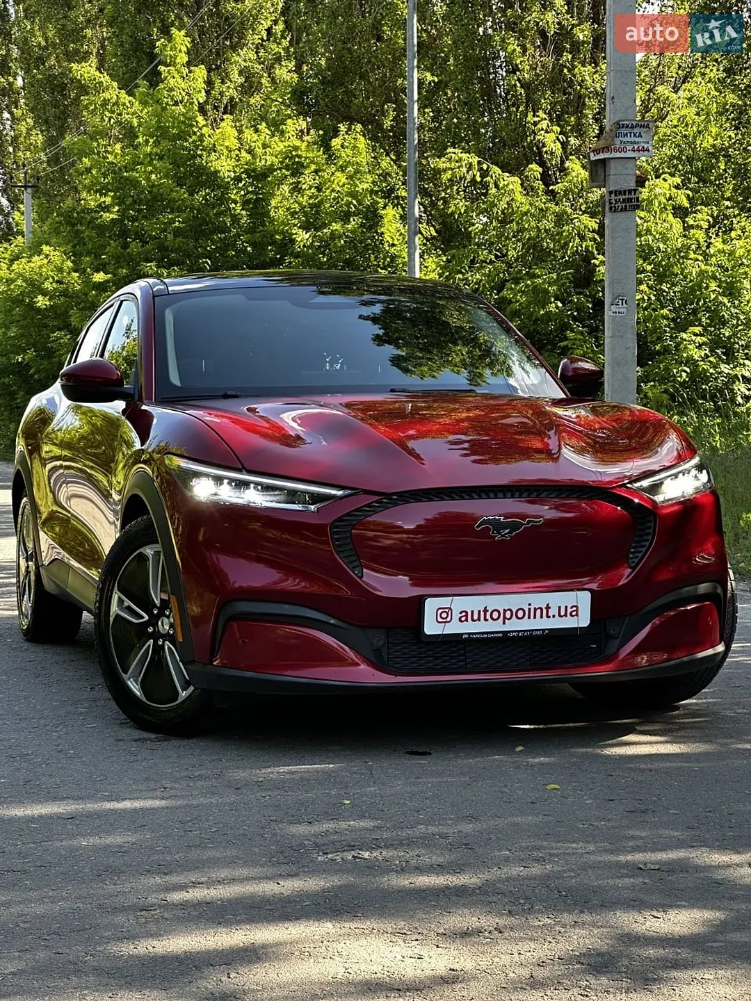2020 Ford Mustang Mach-E - фото 1