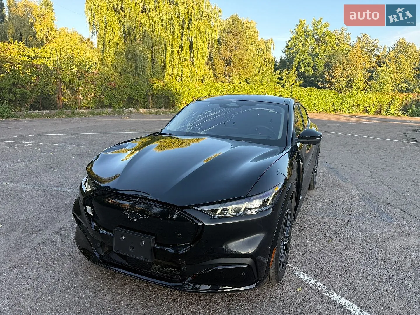2024 Ford Mustang Mach-E - мініатюра 8
