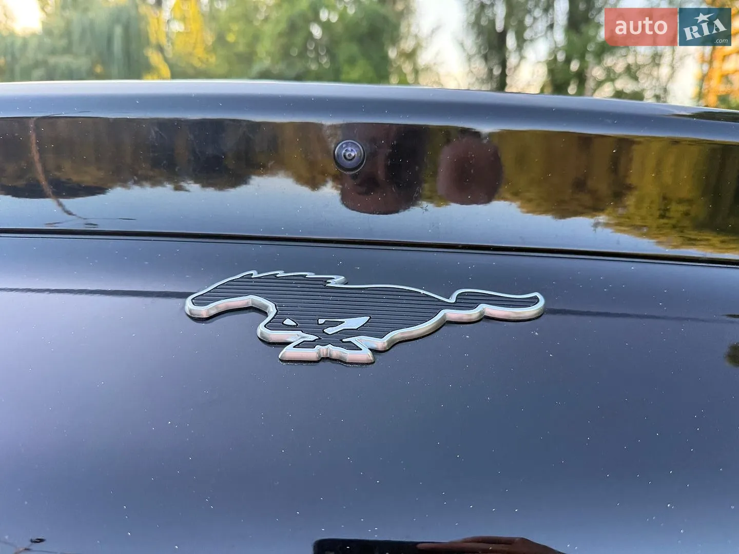 2024 Ford Mustang Mach-E - мініатюра 31