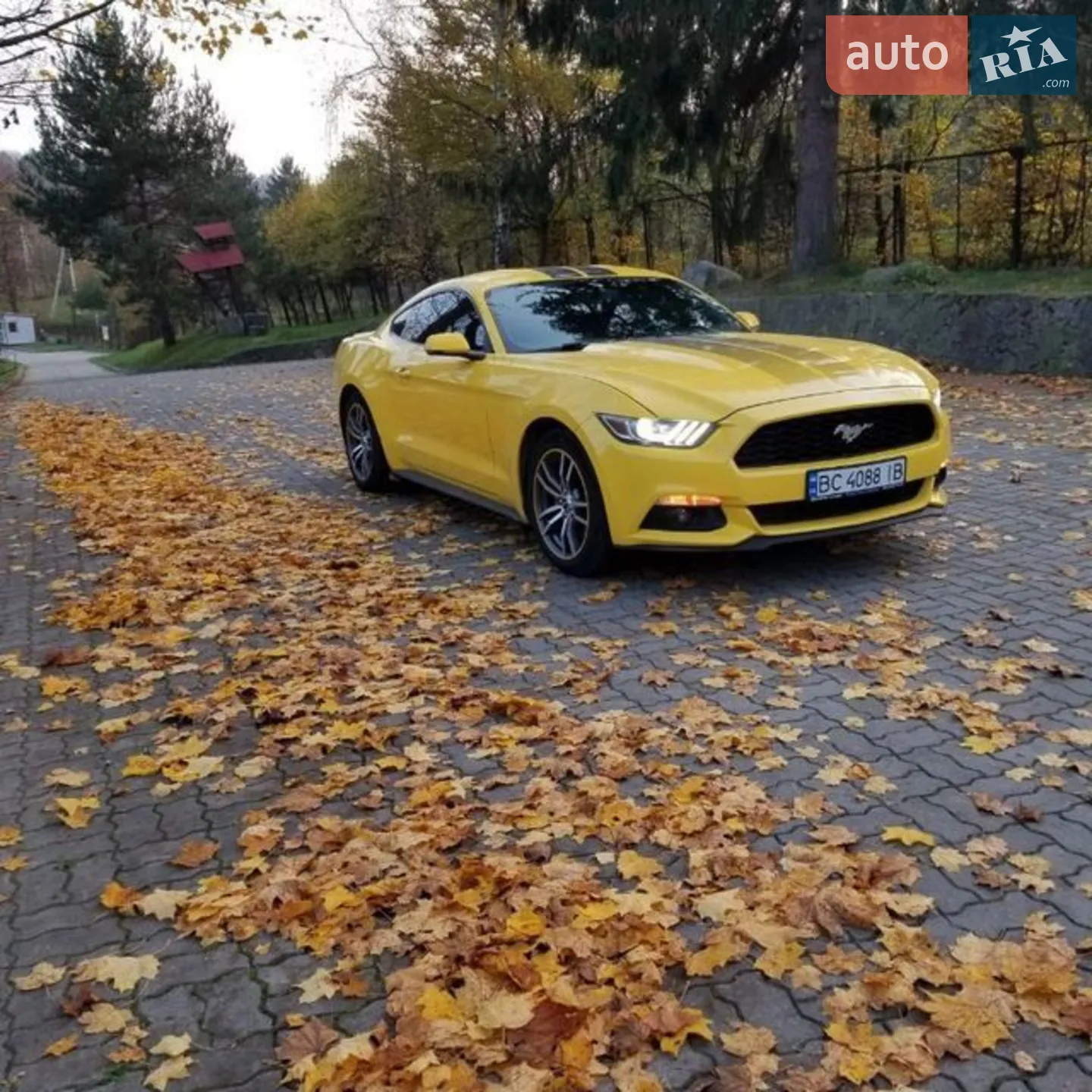 2016 Ford Mustang - фото 1