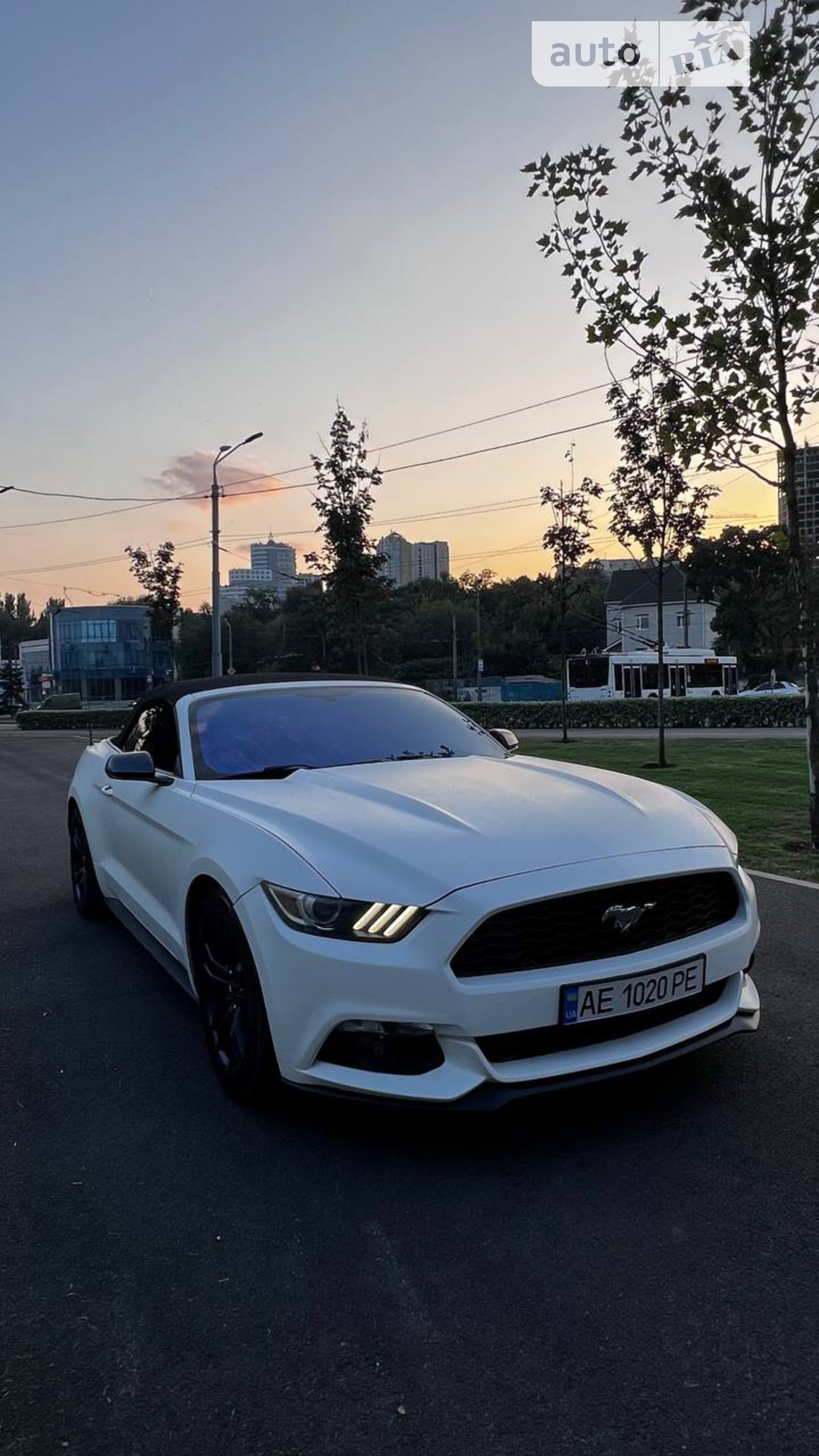 2016 Ford Mustang - мініатюра 22