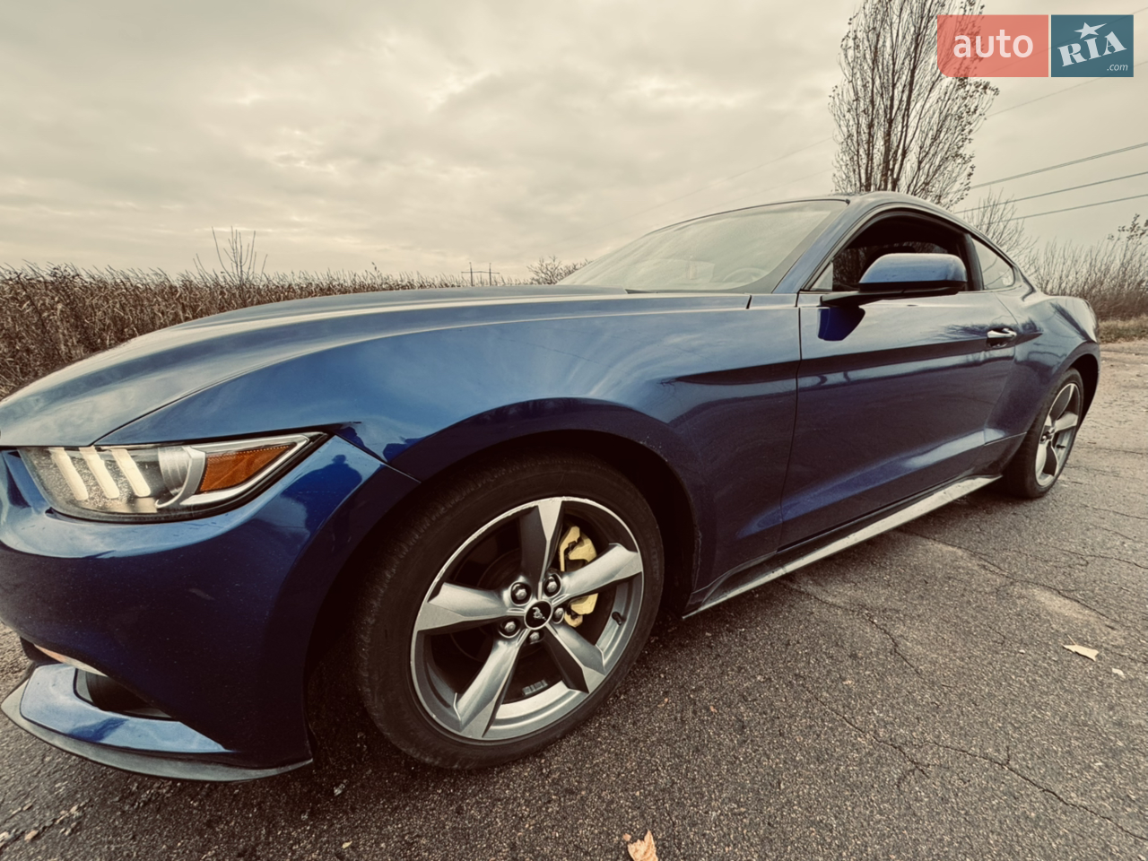 2015 Ford Mustang - мініатюра 8