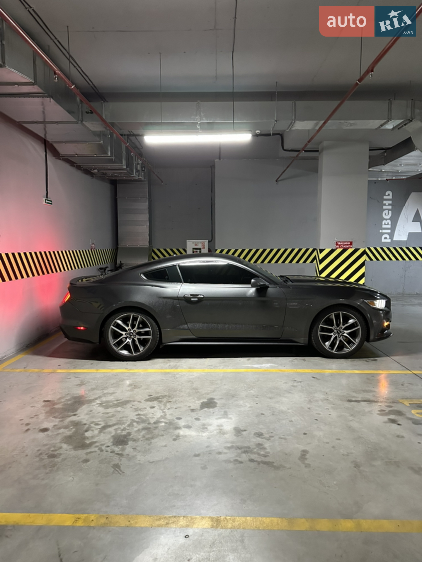 2015 Ford Mustang - мініатюра 33