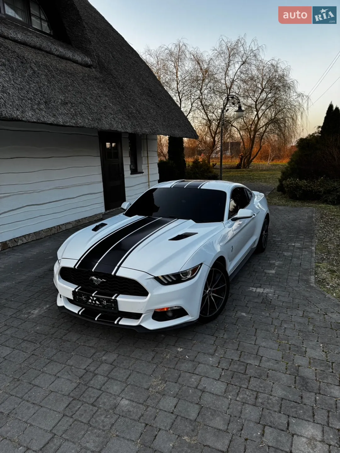 2015 Ford Mustang - мініатюра 10