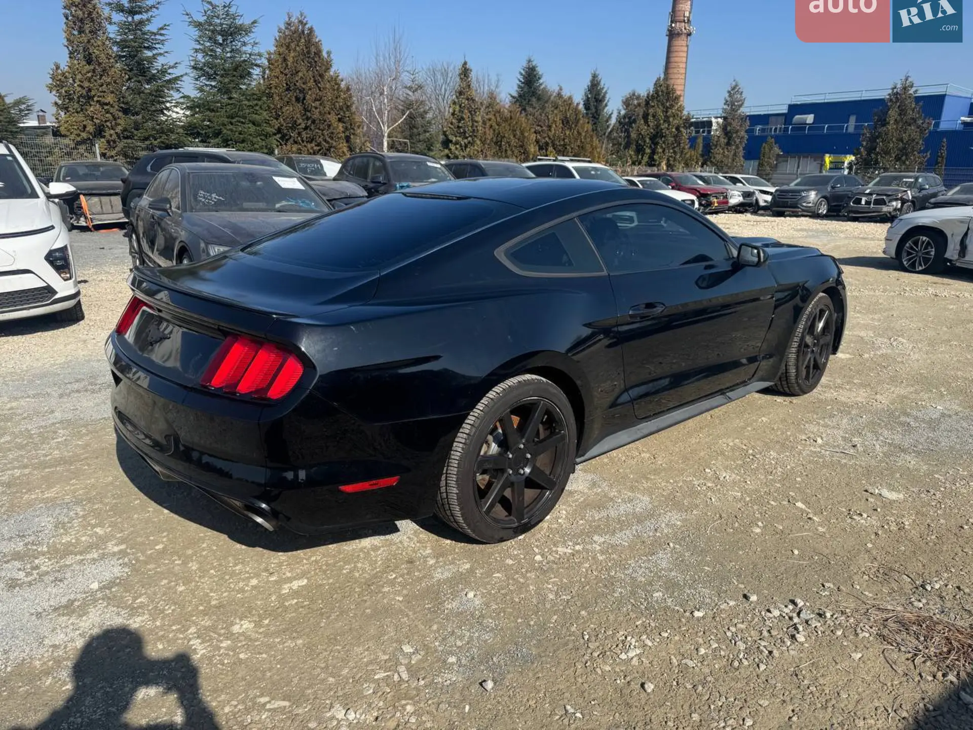 2014 Ford Mustang - мініатюра 5