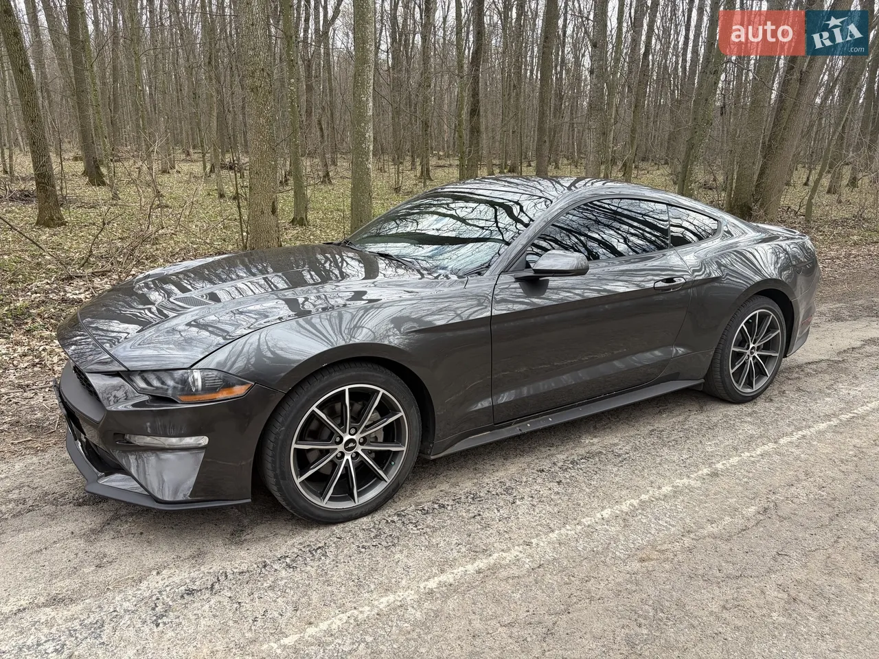 2019 Ford Mustang - мініатюра 16