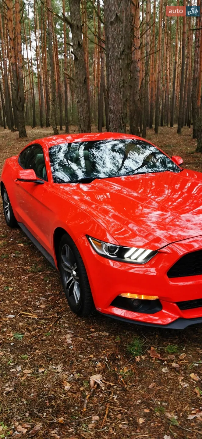 2017 Ford Mustang - мініатюра 17