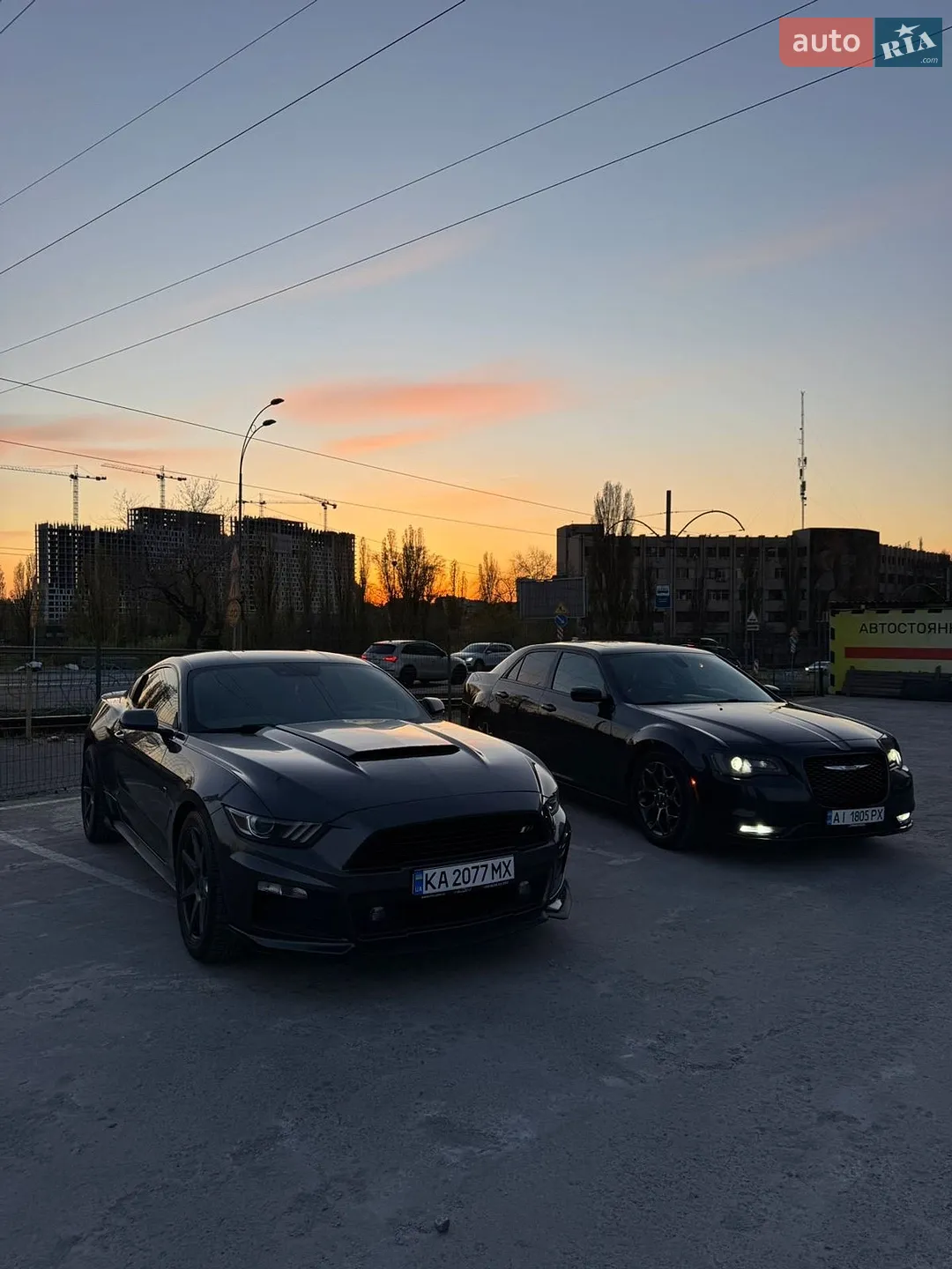 2014 Ford Mustang - мініатюра 2