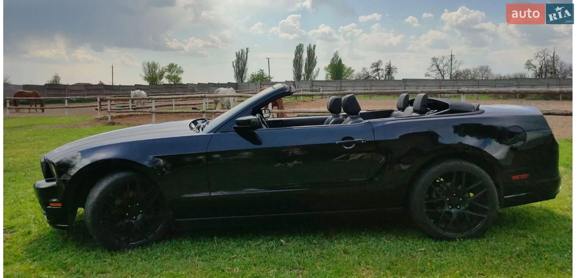 2014 Ford Mustang - мініатюра 8