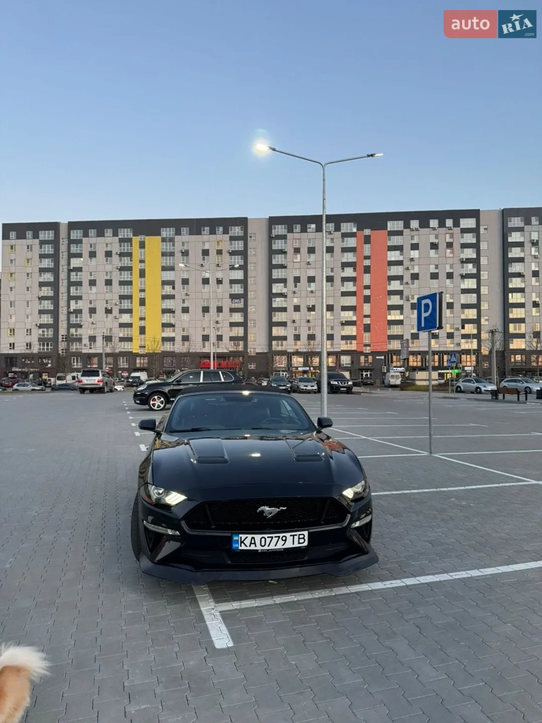 2015 Ford Mustang - мініатюра 19