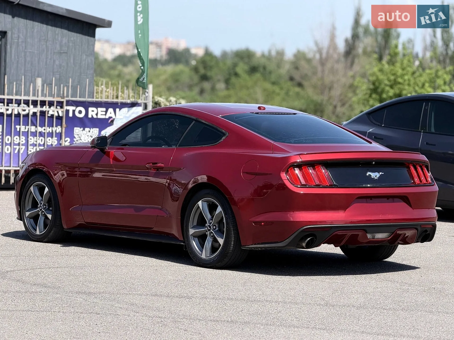 2016 Ford Mustang - мініатюра 24