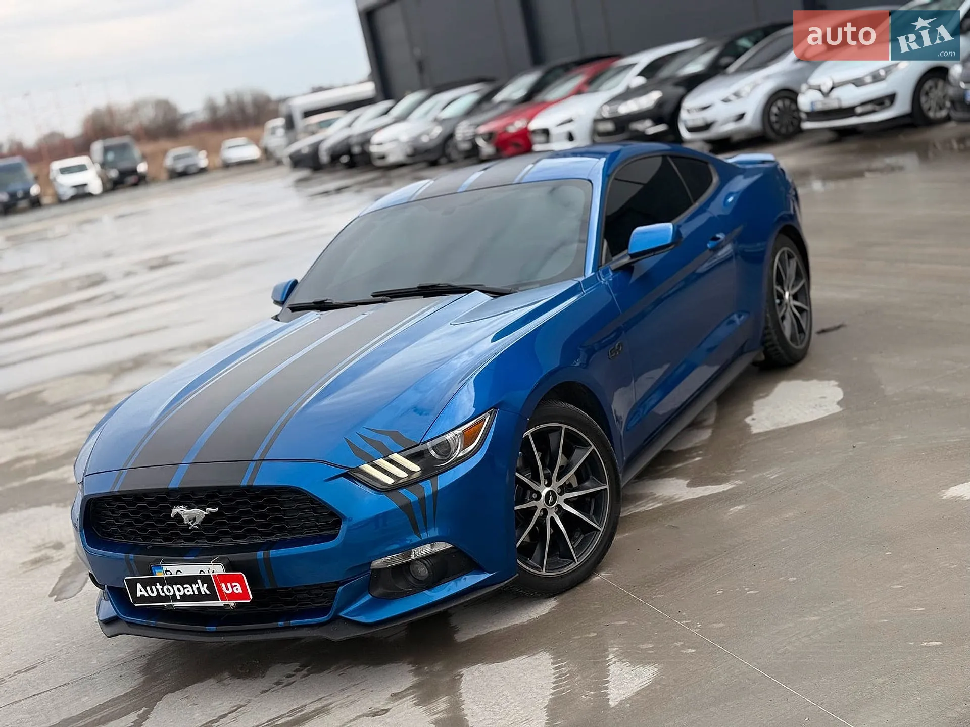 2017 Ford Mustang - мініатюра 13