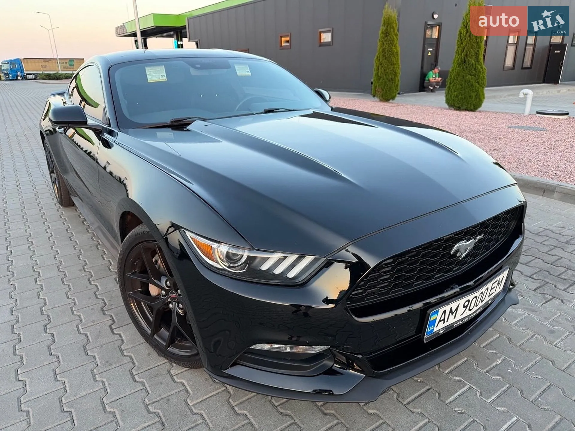 2017 Ford Mustang - мініатюра 3
