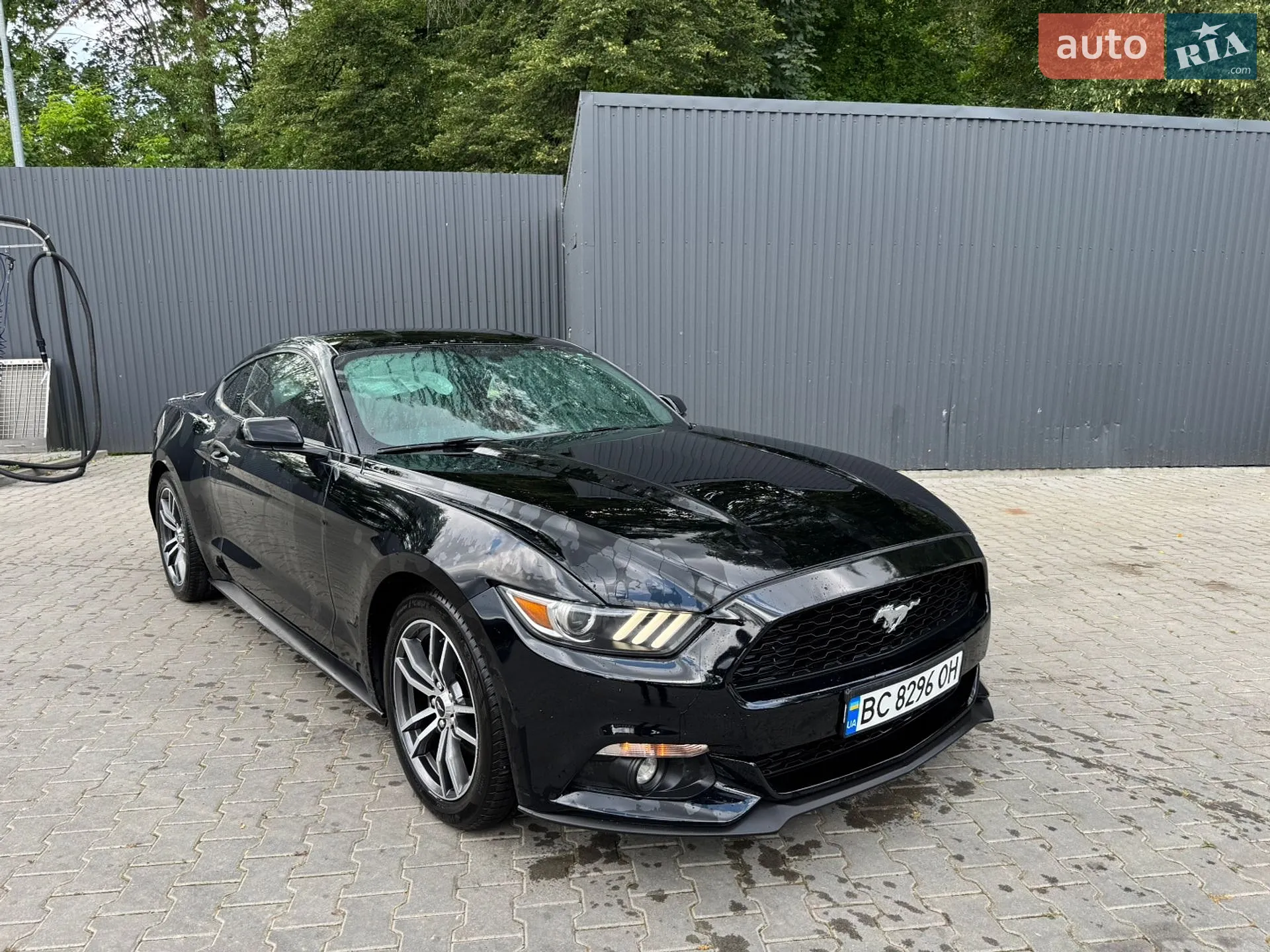 2016 Ford Mustang - мініатюра 2