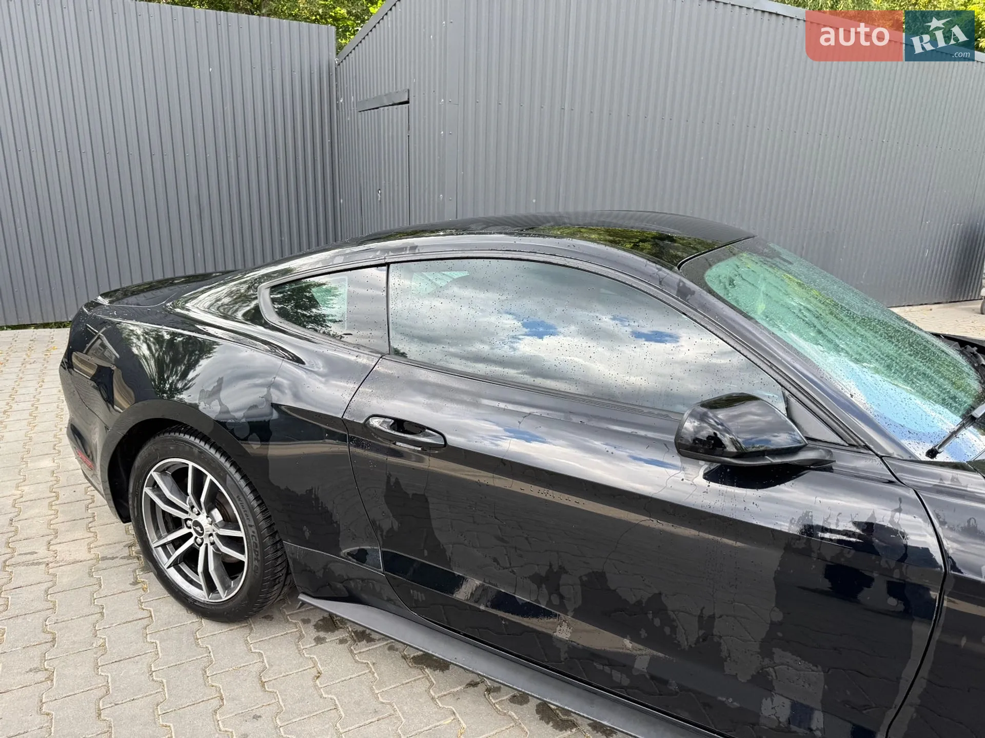 2016 Ford Mustang - мініатюра 12