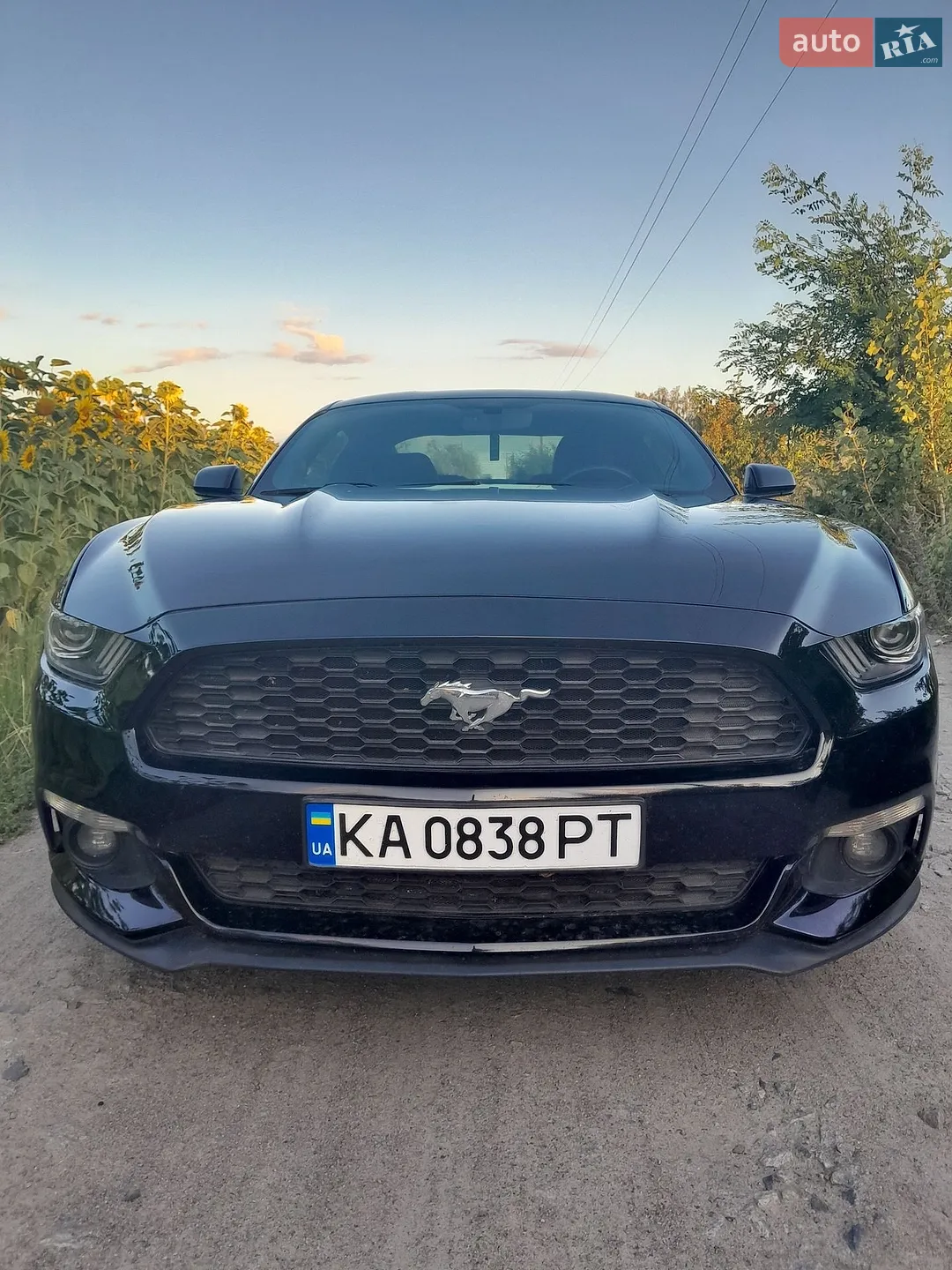 2016 Ford Mustang - мініатюра 5