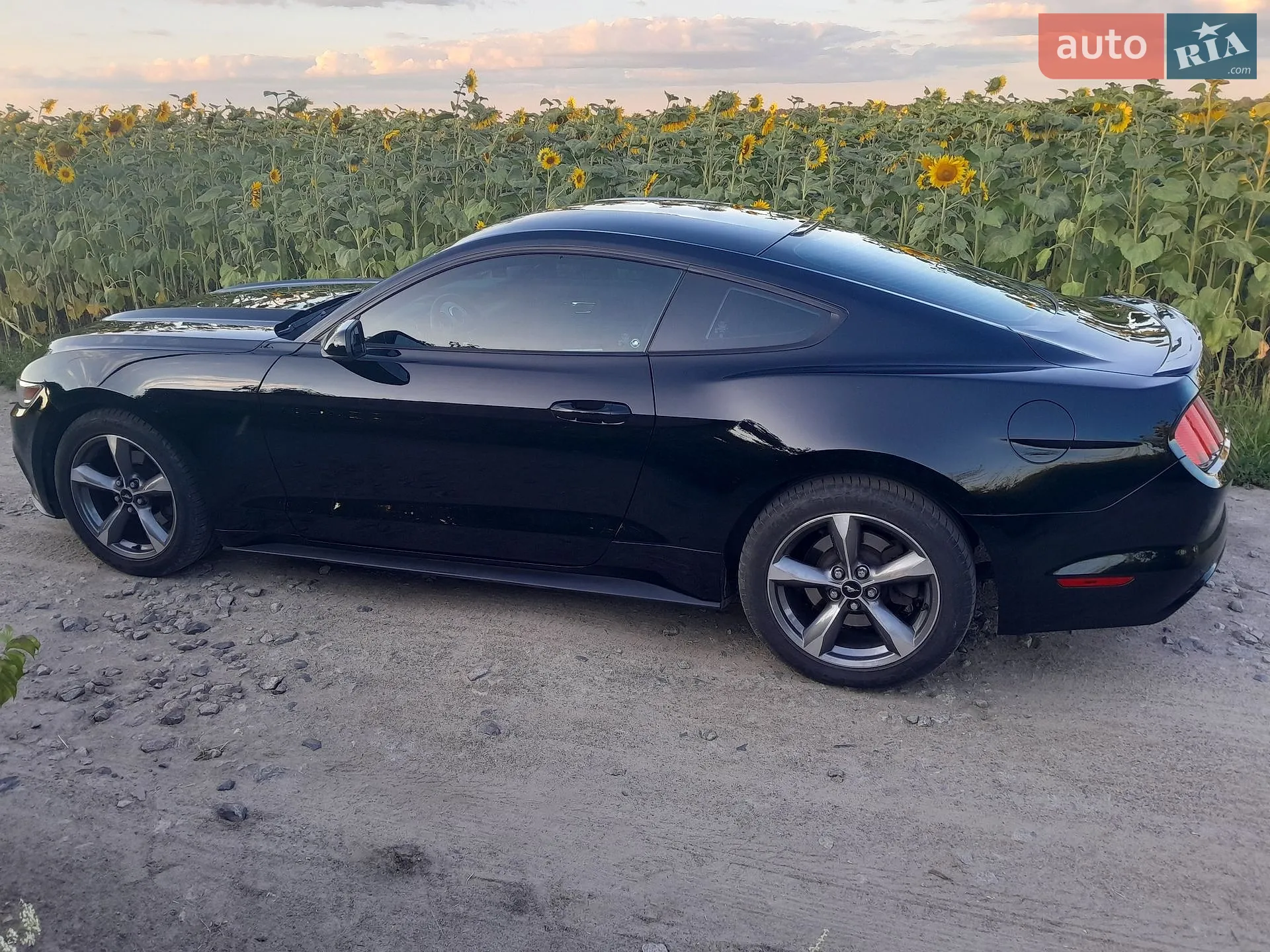 2016 Ford Mustang - мініатюра 8