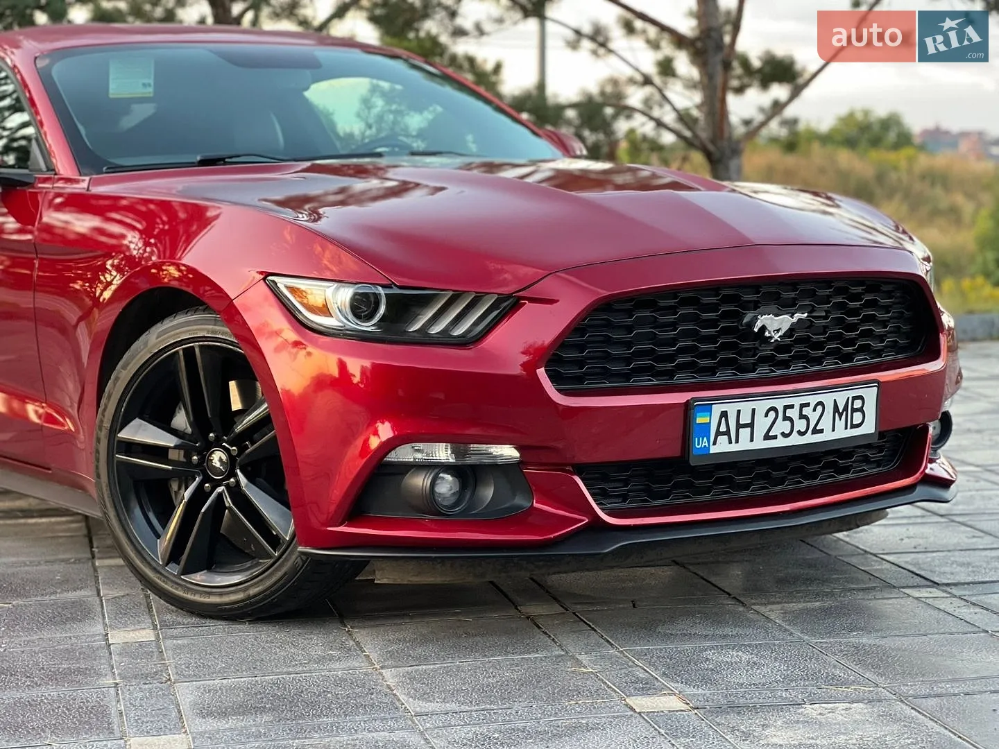 2015 Ford Mustang - мініатюра 25