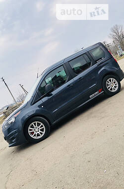 Минивэн Ford Tourneo Connect 2013 в Попельне