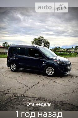 Минивэн Ford Tourneo Connect 2013 в Попельне