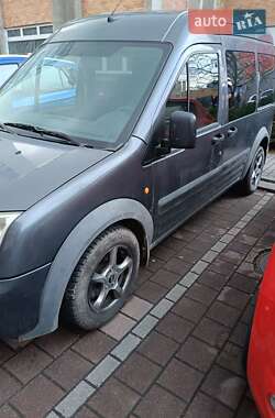 Минивэн Ford Tourneo Connect 2008 в 