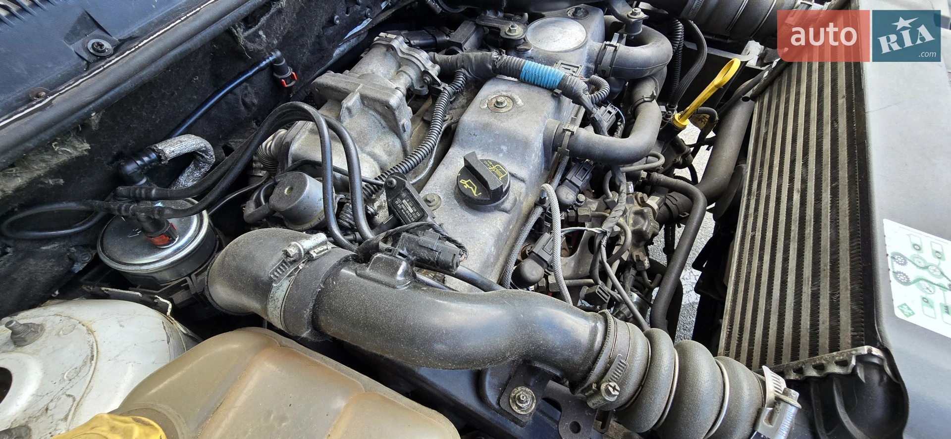 2010 Ford Transit Connect - мініатюра 3