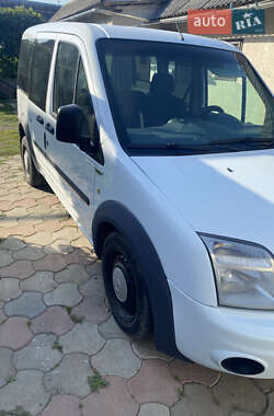 Мінівен Ford Transit Connect 2010 в 