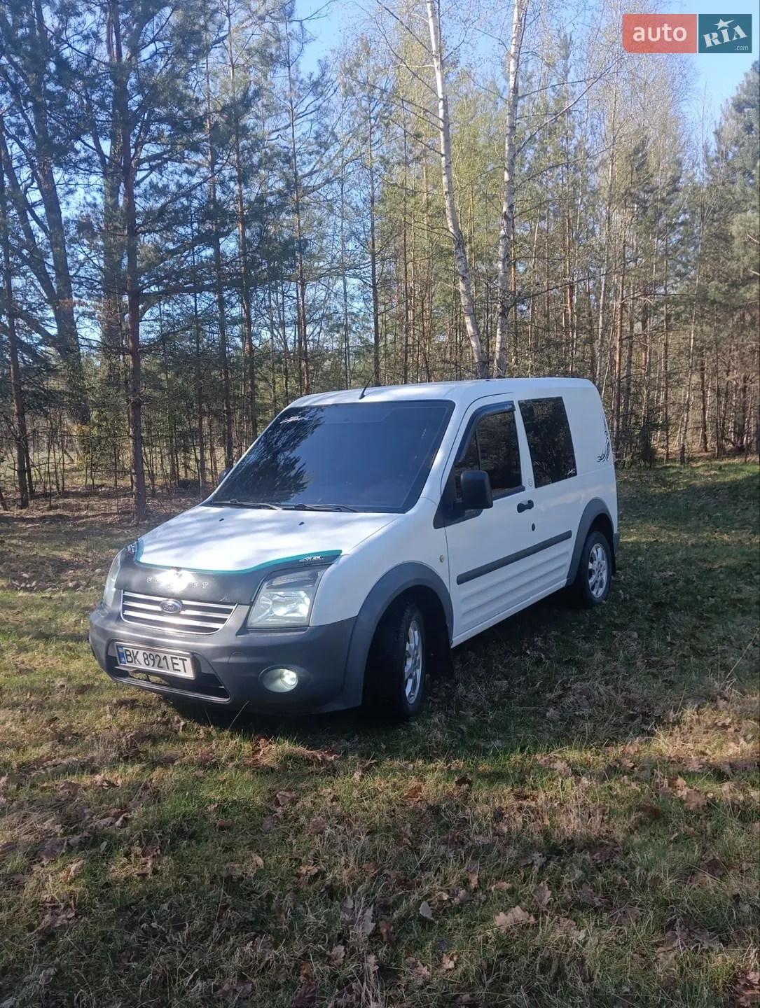 2010 Ford Transit Connect - мініатюра 19
