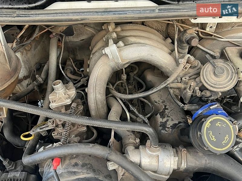 Для перевозки животных Ford Transit 1998 в Иванове