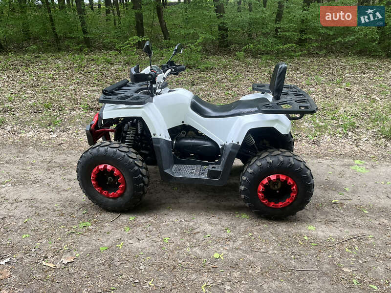Квадроцикл  утилитарный Forte Braves 200 2020 в Теофиполе