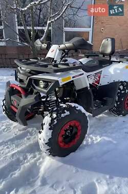 Квадроцикл  утилитарный Forte Braves 200 2020 в Кропивницком