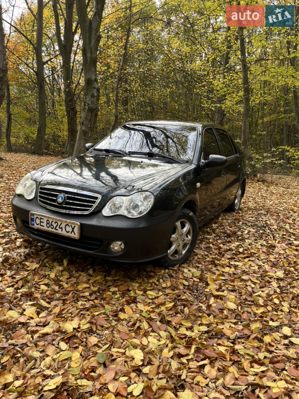 2012 Geely CK (Otaka) - мініатюра 25