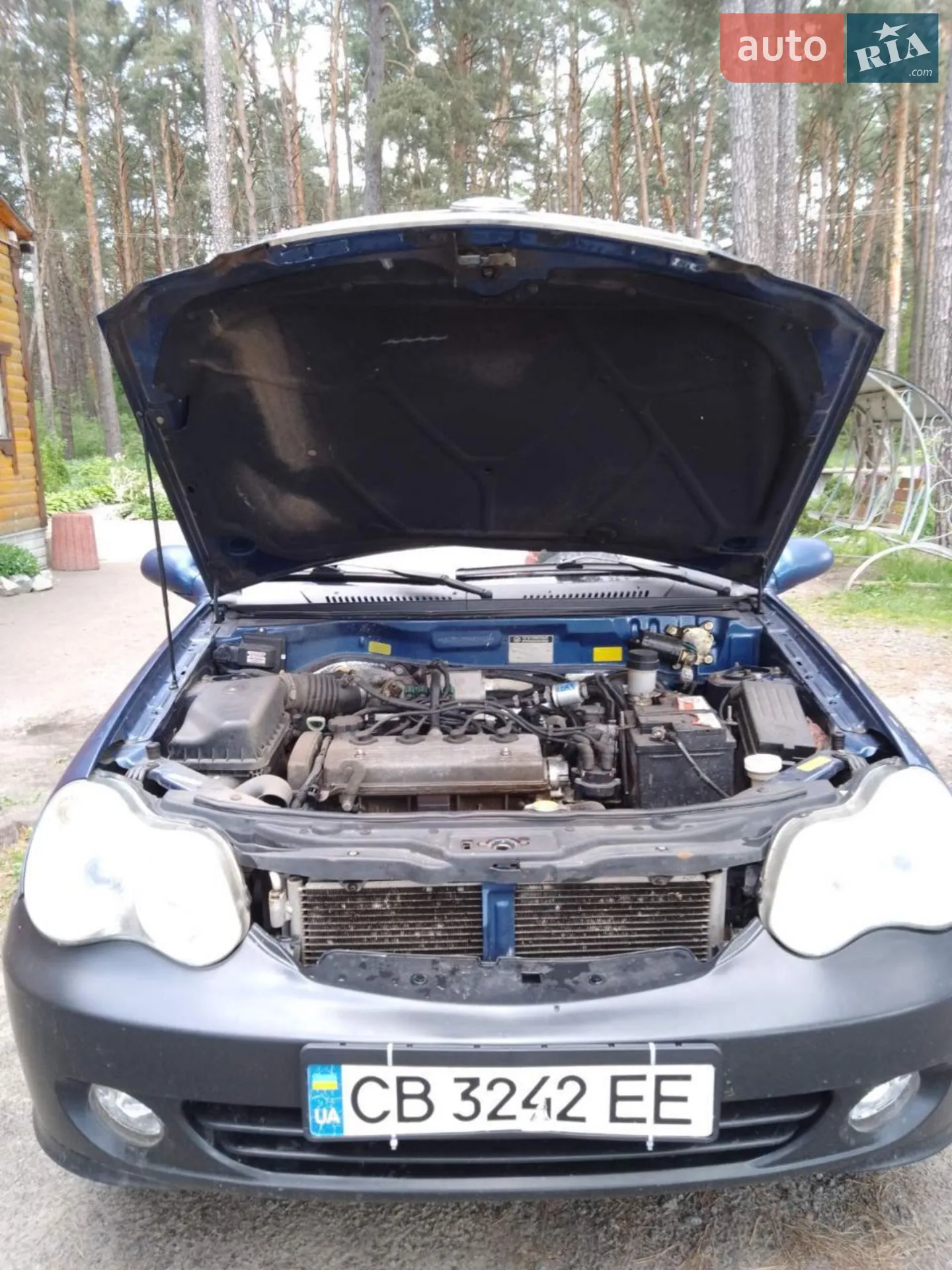 2010 Geely CK (Otaka) - мініатюра 7