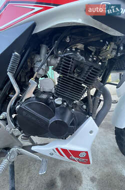Мотоцикл Без обтекателей (Naked bike) Geon Pantera 250 2024 в 
