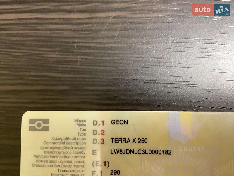 Грузовые мотороллеры, мотоциклы, скутеры, мопеды Geon Terra-X 250 2020 в Житомире