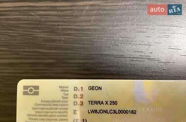 Вантажні моторолери, мотоцикли, скутери, мопеди Geon Terra-X 250 2020 в 