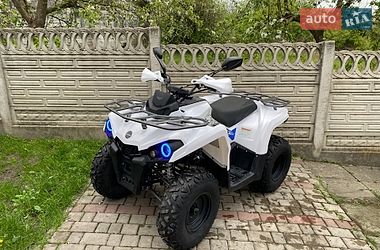 Квадроцикл  утилитарный Hammer 200 2022 в Сарнах
