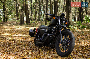 Мотоцикл Круизер Harley-Davidson 883 Iron 2009 в 