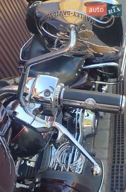 Мотоцикл Туризм Harley-Davidson FLHTCUI 2006 в 