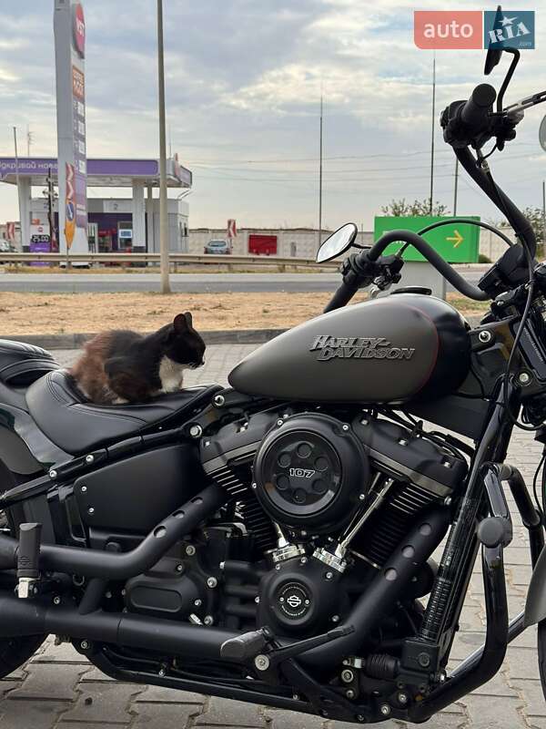 Боббер Harley-Davidson Street Bob 2017 в Одесі фото 3 Боббер Harley-Davidson Street Bob 2017 в Одесі