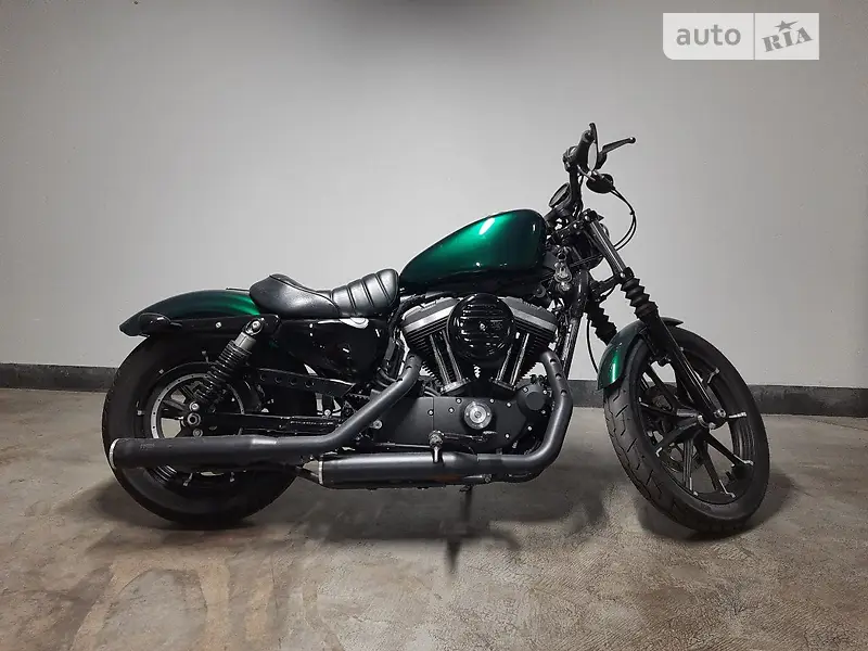 Harley-Davidson XL 883N 2011 VIN 1HD4LE214BC420727 фото оголошення 13 з 37