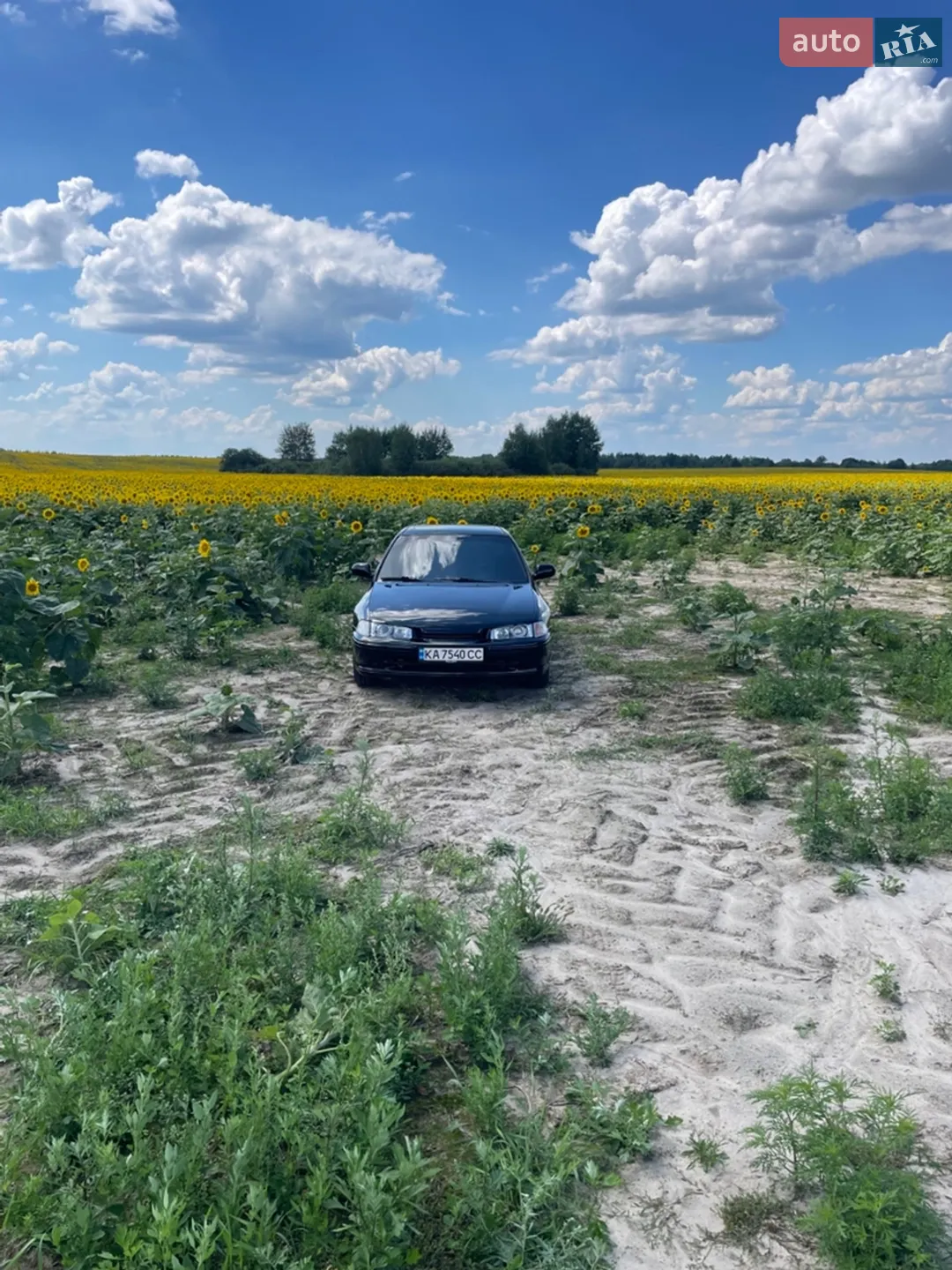 Honda Accord 1993 VIN SHHCC75800U020472 фото оголошення 17 з 19