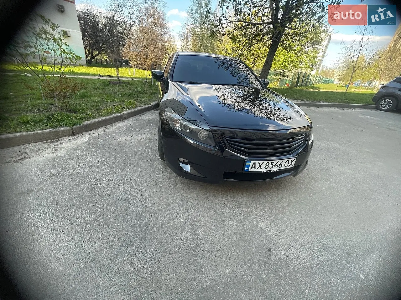 2011 Honda Accord - мініатюра 9
