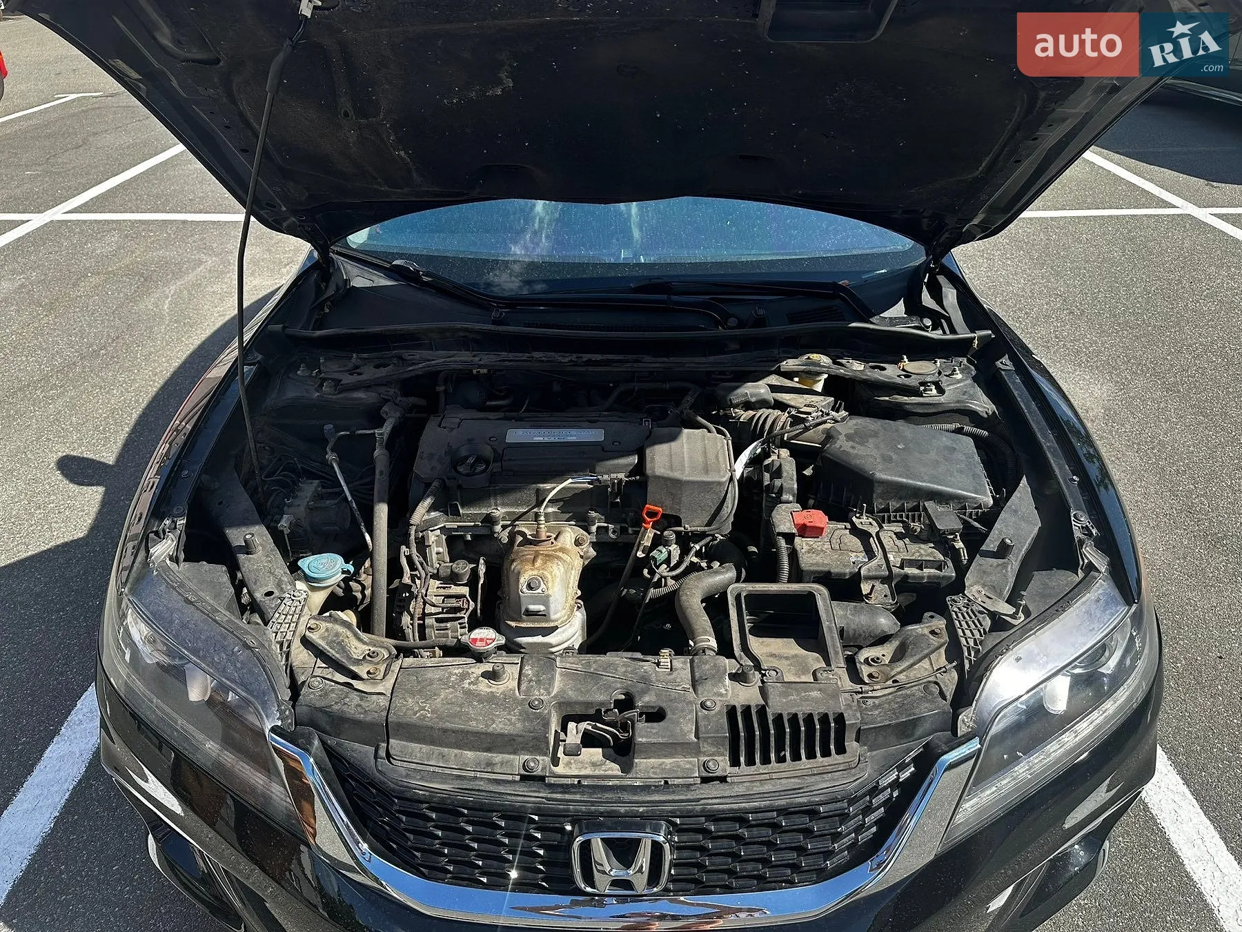 2013 Honda Accord - мініатюра 8