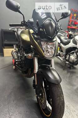 Мотоцикл Без обтекателей (Naked bike) Honda CB 600F Hornet 2010 в 